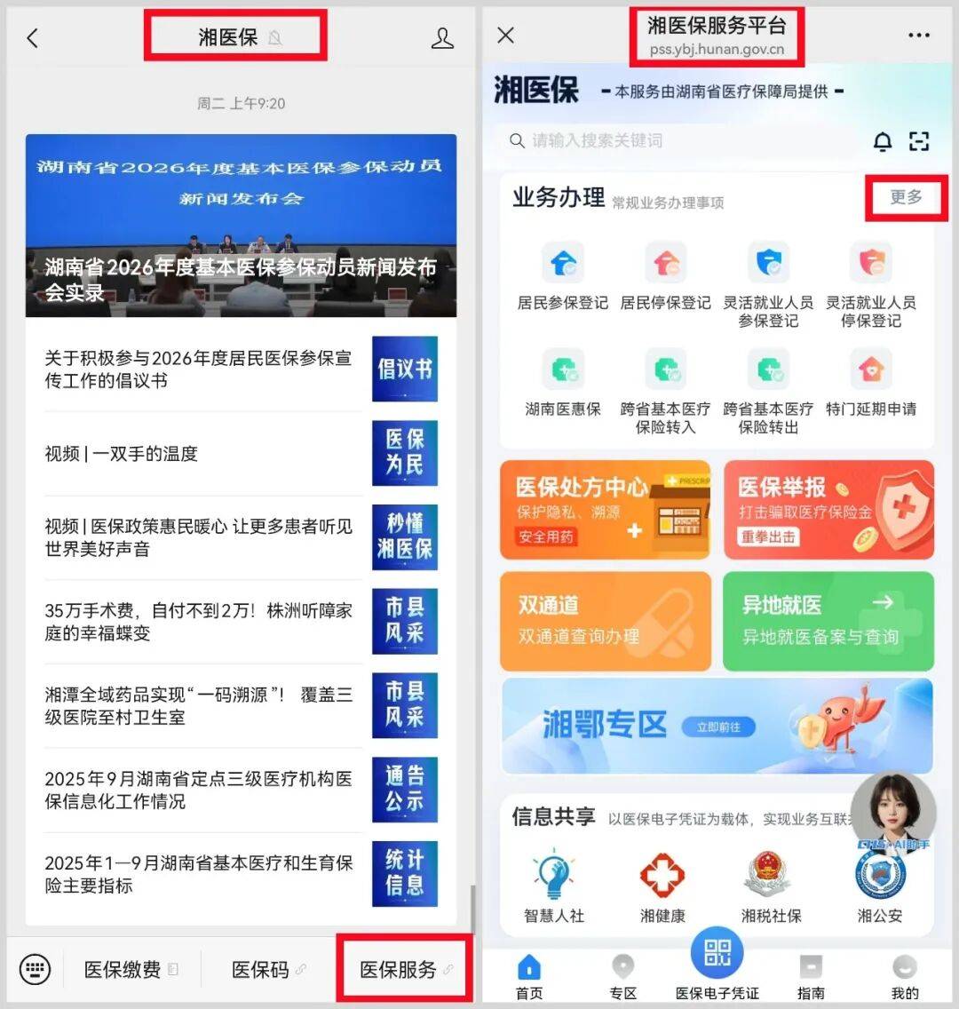乐山医保提取平台(医保提取平台官网)