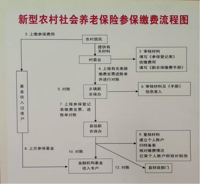 乐山农村医保和社保有什么区别(农村医保跟社保的区别)
