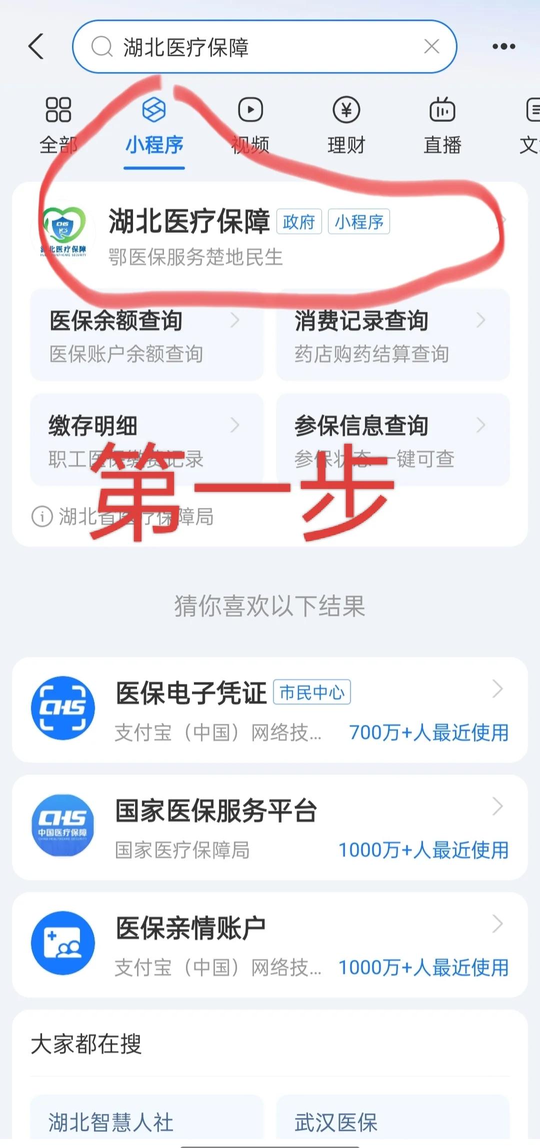 乐山医保网上怎么缴费(孩子居民医保网上怎么缴费)