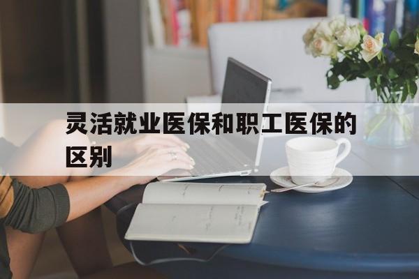 乐山灵活就业医保和职工医保的区别(天津灵活就业医保和职工医保的区别)